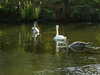 20090912163847-DSCF4527.JPG