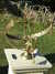 20090912164043-DSCF4535.JPG
