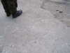 S4300003.JPG