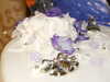 20091003120113-DSCF4617.JPG