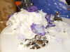 20091003120124-DSCF4618.JPG