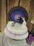 DSCF4627.JPG