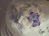 DSCF4636.JPG