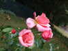 DSCF4677.JPG