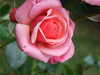 DSCF4678.JPG