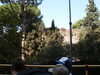20091005100725-PICT6711.JPG