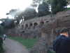 20091005140536-DSCF4785.JPG