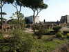 20091005144031-PICT6805.JPG