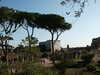 20091005144035-PICT6806.JPG
