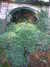 20091005150343-DSCF4814.JPG