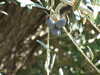 20091005151410-DSCF4825.JPG