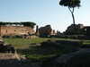 20091005152000-PICT6810.JPG
