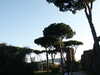 20091005153717-PICT6821.JPG