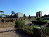 20091005154912-DSCF4834.JPG