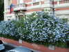 20091005164416-PICT6838.JPG