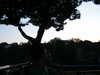 20091005164543-PICT6840.JPG
