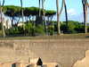 20091005164549-DSCF4857.JPG