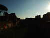 20091005164833-DSCF4863.JPG
