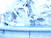 20091006163739-PICT6915.JPG