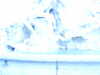 20091006163751-PICT6916.JPG