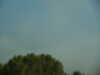 20091007092751-PICT6935.JPG