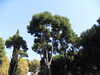 20091007123217-SDC10958.JPG