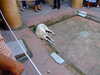 20091007142944-DSCF5008.JPG