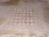 20091007143517-DSCF5016.JPG