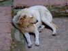 20091007143614-DSCF5017.JPG