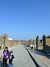 20091007150558-DSCF5028.JPG