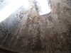 20091007151533-PICT7013.JPG