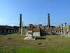 20091007154659-DSCF5065.JPG