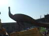 20091008080419-DSCF5079.JPG