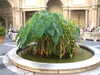 20091008081635-DSCF5089.JPG