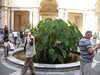 20091008085841-SDC11032.JPG