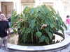20091008102157-PICT7047.JPG
