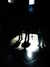 20091008130342-DSCF5188.JPG