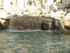 20091009094526-PICT7158.JPG