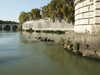 20091009150632-PICT7213.JPG