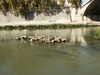 20091009150641-PICT7214.JPG