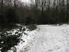 20091225115727-IMG_0005.JPG