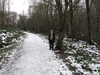 20091225115816-IMG_0006.JPG