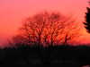 2010-01-26:sunset
