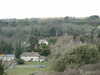 20100313122727-DSCF5309.JPG
