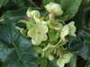 20100313123423-DSCF5312.JPG