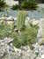 20100313123743-DSCF5314.JPG