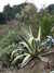 20100313123900-DSCF5315.JPG