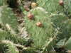 20100313123938-DSCF5318.JPG