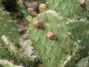 20100313123951-DSCF5320.JPG