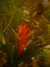 20100313124550-DSCF5326.JPG